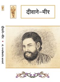 Diwan-E-Mir By Nand Kishore Acharya